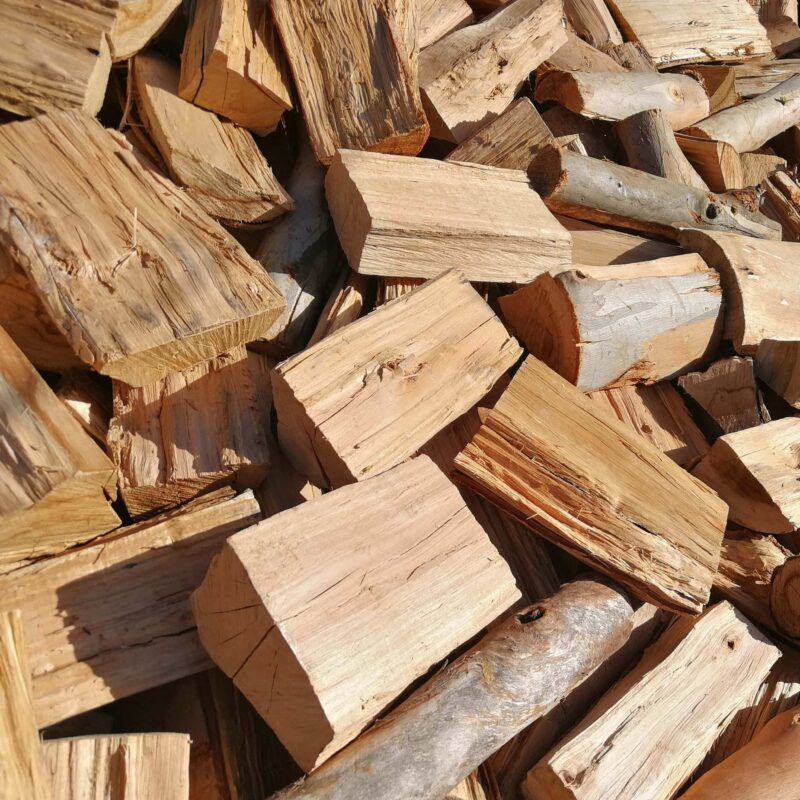 Bluegum (Kaggelhout) - 500 Loose Pieces