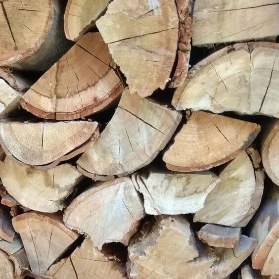 Bluegum (Kaggelhout) - 1000 Loose Pieces